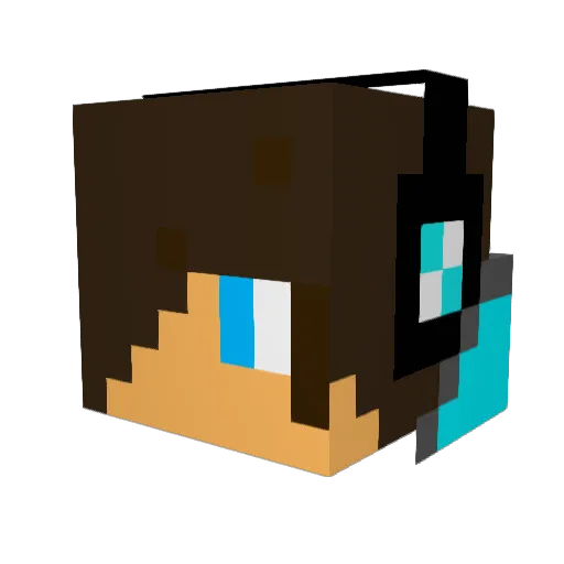 BurgerGOD14 Minecraft avatar head, 3D render