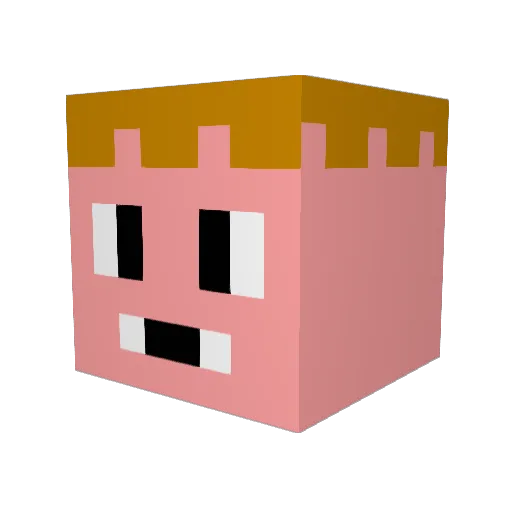 BurgerGaymer67 Minecraft avatar head, 3D render