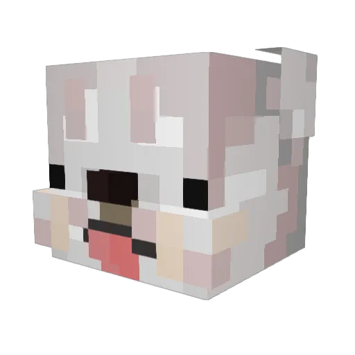 BurgerGuy08 Minecraft avatar head, 3D render