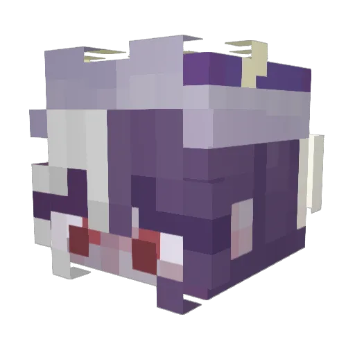 BurgerKid22 Minecraft avatar head, 3D render
