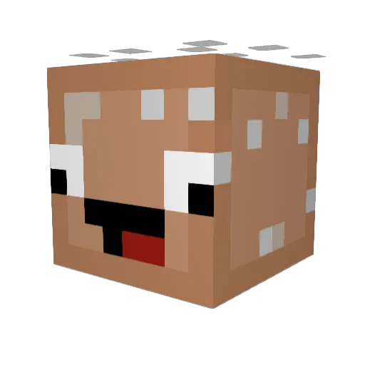 Burgerbum20 Minecraft avatar head, 3D render