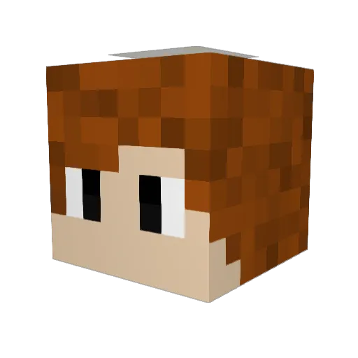Burgerihno Minecraft avatar head, 3D render