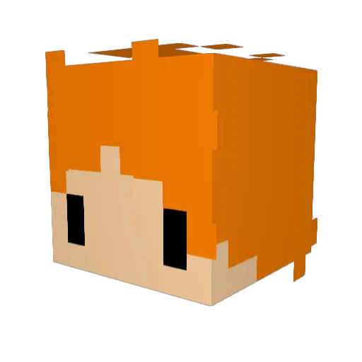 Burglenut Minecraft avatar head, 3D render