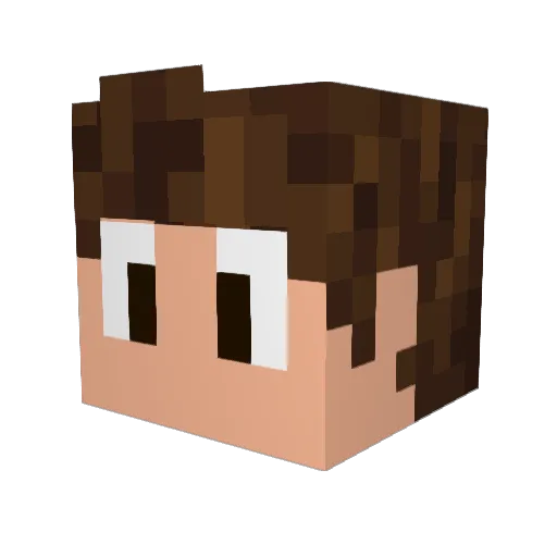 Buriti1403 Minecraft avatar head, 3D render