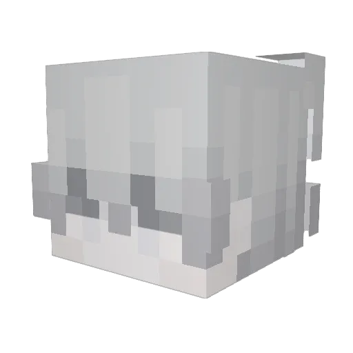 Buritoes Minecraft avatar head, 3D render