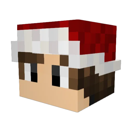 Burki3 Minecraft avatar head, 3D render