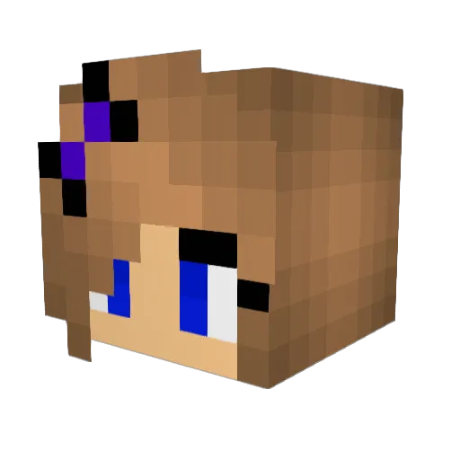 Burksrocks Minecraft avatar head, 3D render