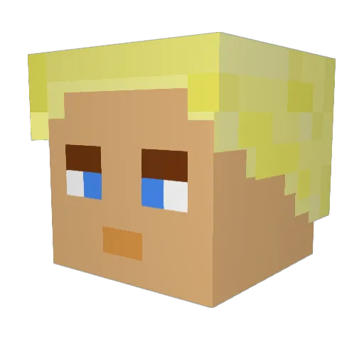 Burky_ Minecraft avatar head, 3D render