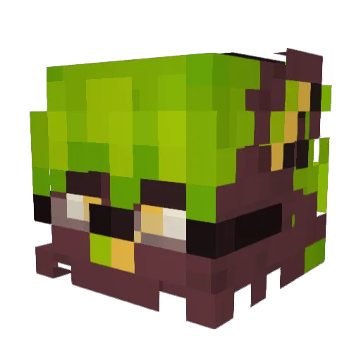 BurmeseMoth Minecraft avatar head, 3D render