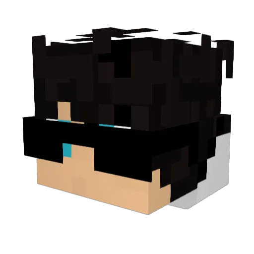 BurnGamer_ Minecraft avatar head, 3D render