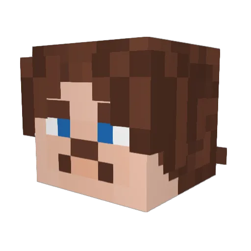 BurnMicrowave Minecraft avatar head, 3D render