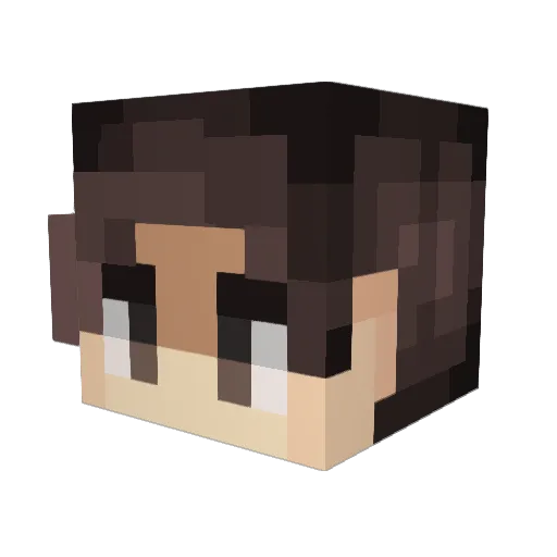 BurnSparrow Minecraft avatar head, 3D render