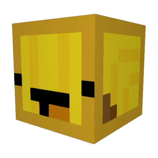Burna04 Minecraft avatar head, 3D render