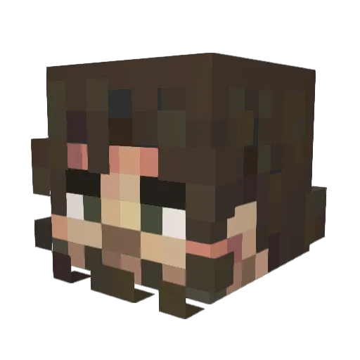 Burnamidge Minecraft avatar head, 3D render