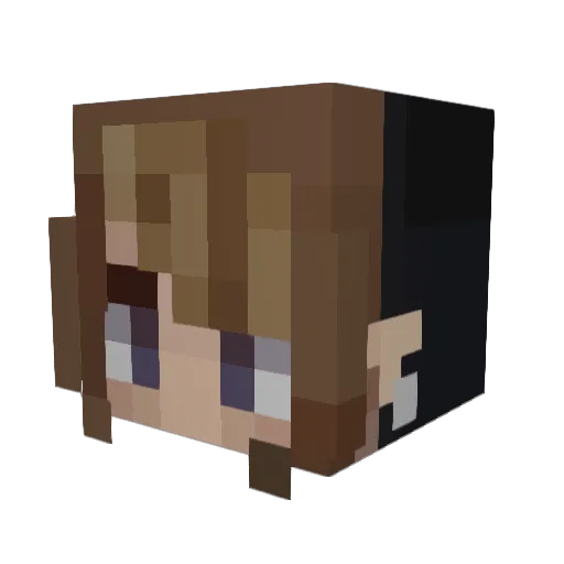 BurnedSteel Minecraft avatar head, 3D render