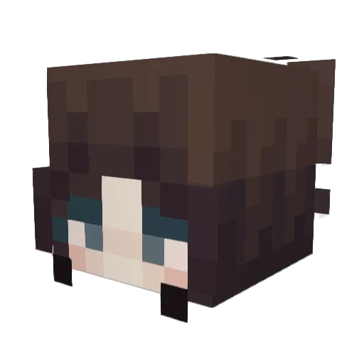 BurnerAlertt Minecraft avatar head, 3D render