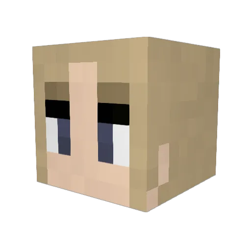 BurningDidi Minecraft avatar head, 3D render