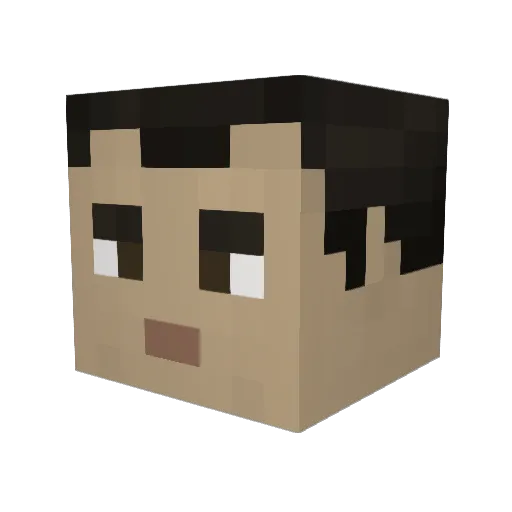 BurningDove9 Minecraft avatar head, 3D render