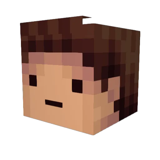 BurningFire633 Minecraft avatar head, 3D render