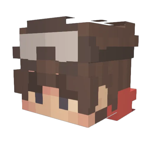 BurningToast29 Minecraft avatar head, 3D render