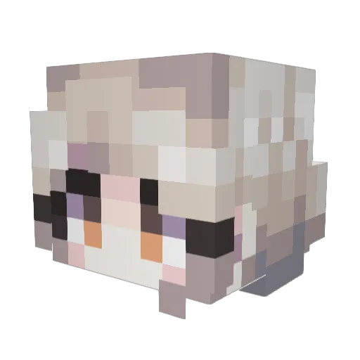 BurningWitch Minecraft avatar head, 3D render