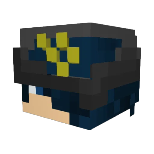 Burnout300 Minecraft avatar head, 3D render