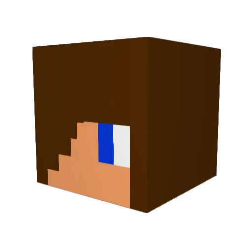 BurnoutJunky Minecraft avatar head, 3D render