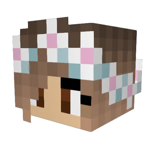 Burnsie1030 Minecraft avatar head, 3D render