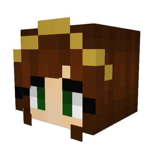 BurntDonkey Minecraft avatar head, 3D render