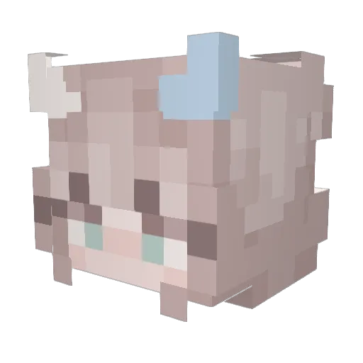 BurntNuggets Minecraft avatar head, 3D render