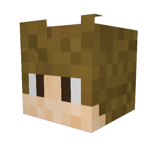 BurntPhoenix69 Minecraft avatar head, 3D render