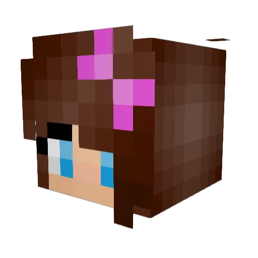 BurntPotatoChips Minecraft avatar head, 3D render