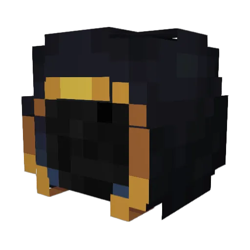 BurntTakoki Minecraft avatar head, 3D render