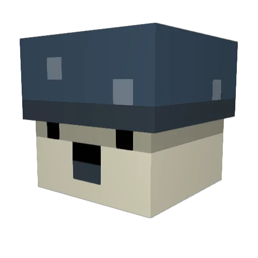 BurntToast42597 Minecraft avatar head, 3D render