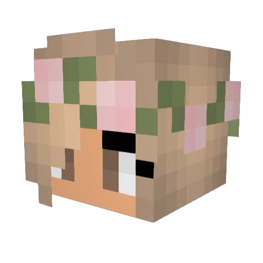 Burnt_Pickle Minecraft avatar head, 3D render