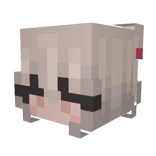 Burnt_Toast_01 Minecraft avatar head, 3D render