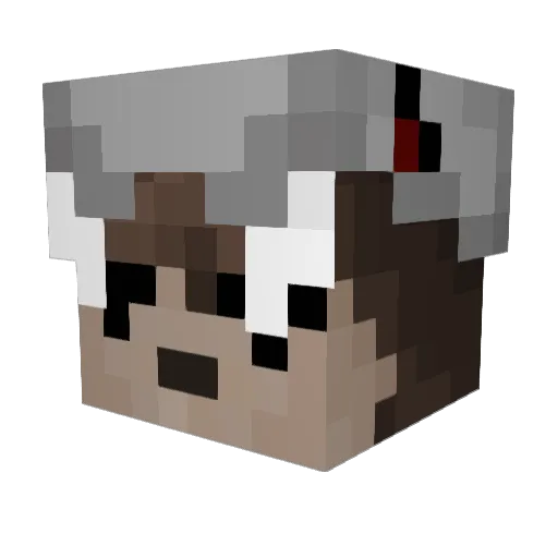 Burnt__Soup Minecraft avatar head, 3D render