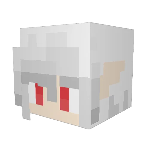 Burntcookies1 Minecraft avatar head, 3D render