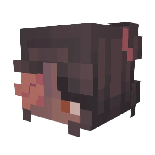 Burntkoast Minecraft avatar head, 3D render
