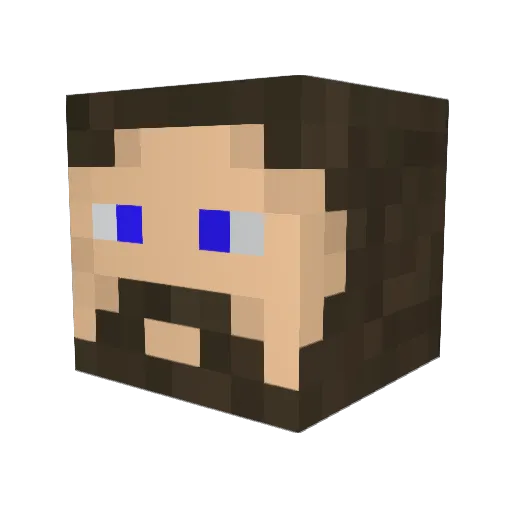 Burntmuffin017 Minecraft avatar head, 3D render