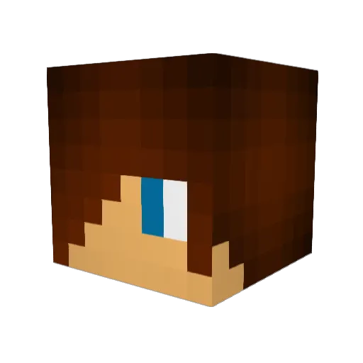 Burnzie_44 Minecraft avatar head, 3D render
