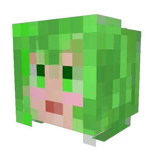 Burpopo Minecraft avatar head, 3D render