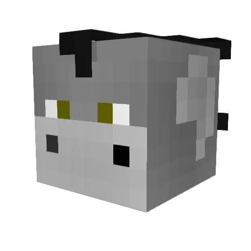 Burr000 Minecraft avatar head, 3D render