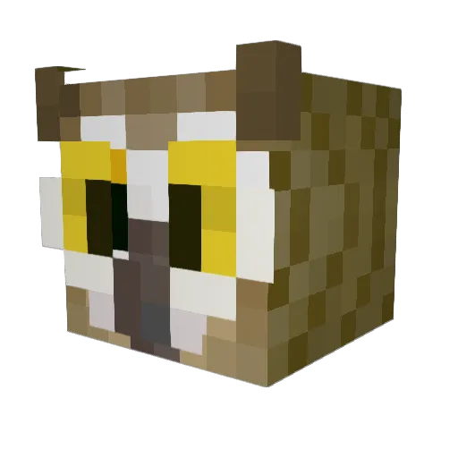 Burr0SWF Minecraft avatar head, 3D render