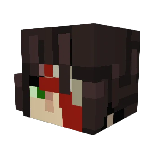 Burrinhjk Minecraft avatar head, 3D render