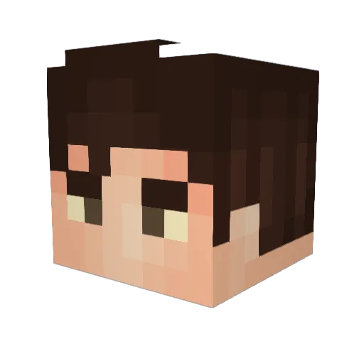 BurritoCrusader Minecraft avatar head, 3D render