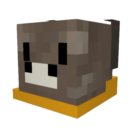 BurritoPerson Minecraft avatar head, 3D render