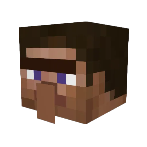 BurritoScavenger Minecraft avatar head, 3D render