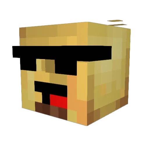 BurritoSupremo Minecraft avatar head, 3D render