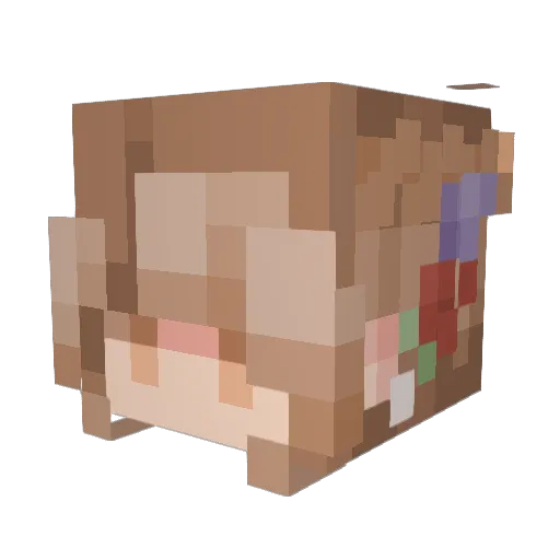 Burrito_Lea Minecraft avatar head, 3D render